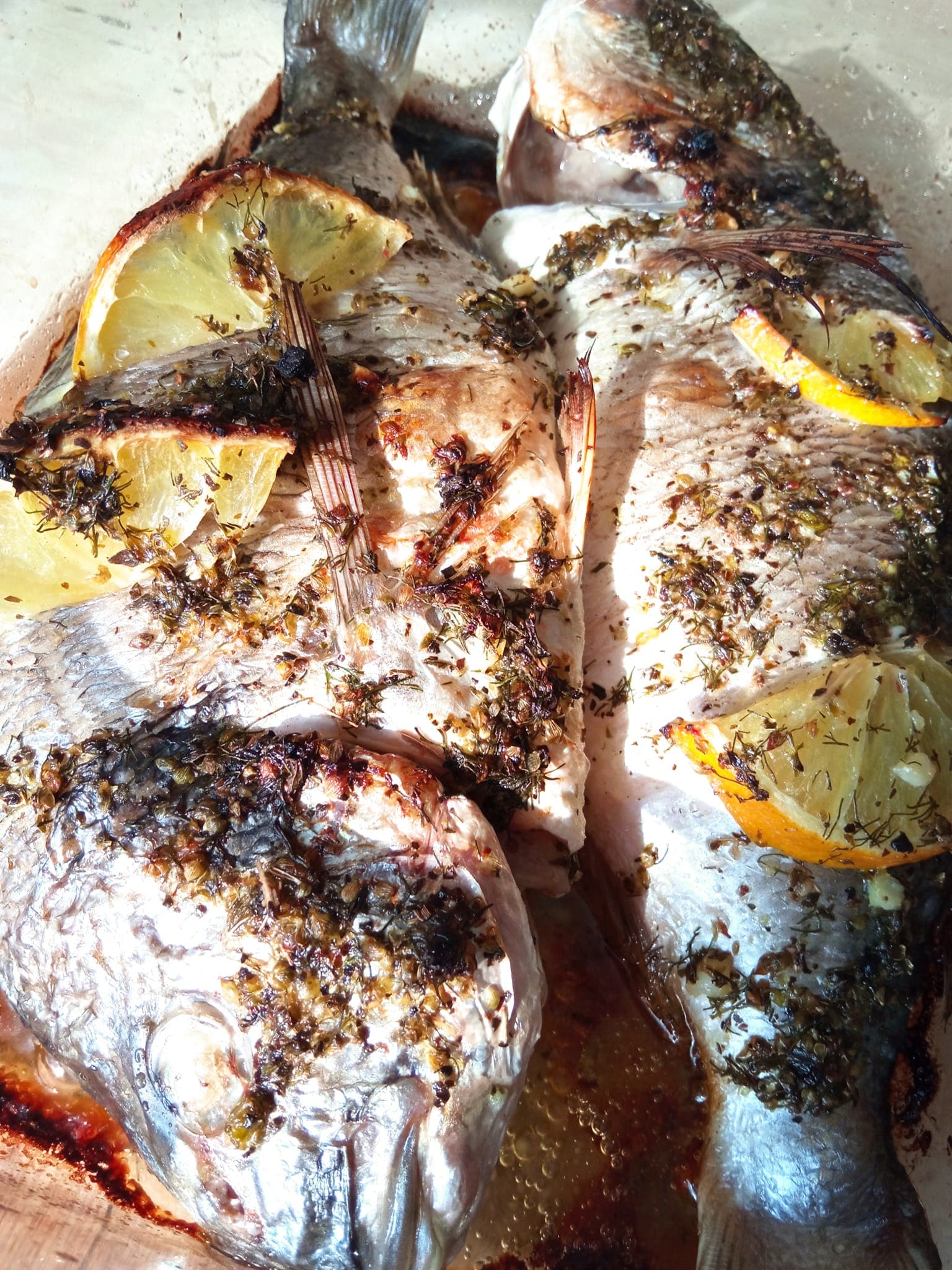 Dorada la cuptor (1)